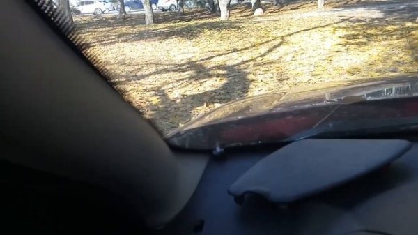 Как прописать новый брелок в сигнализацию PANDORA своими руками