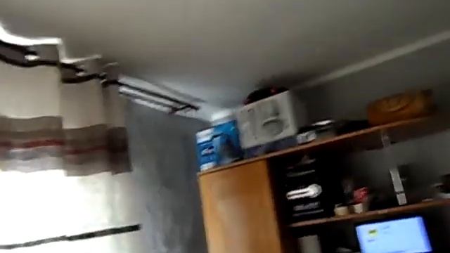 Залетела бабочка в дом!