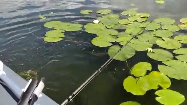 на рыбалке....спинер бейт смотреть онлайн