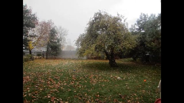 Apple Tree and Snow Fall смотреть онлайн