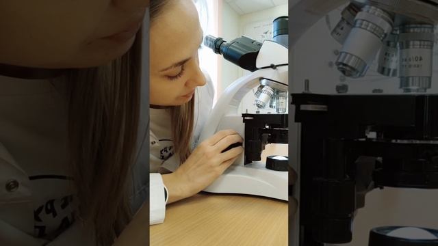 Как работать с микроскопом