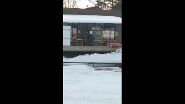 Рыбалка в Савельево 2 смотреть онлайн