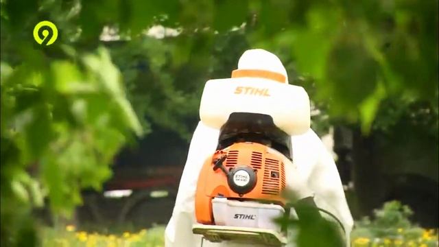 ГЛАВДЕЗЦЕНТР