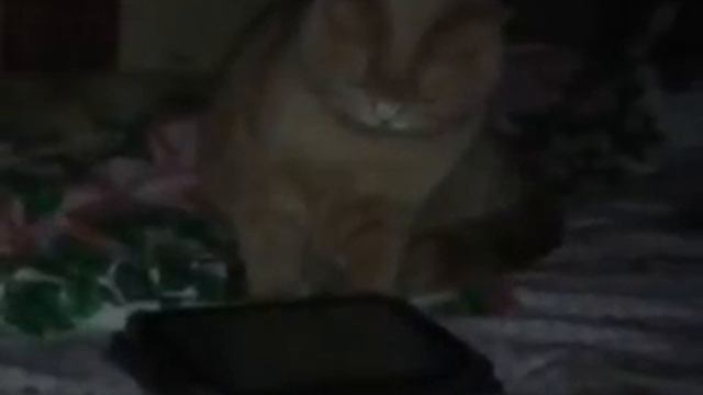 Саймон играет в планшет смотреть онлайн