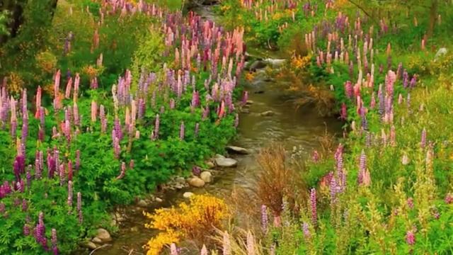 "Джерело (Источник)", исполняет Алиса Павлюк, младшая группа ансамбля "Даринушка"