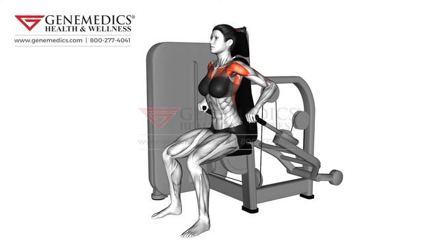 Lever Seated Dip Female Upper Arms Exercise