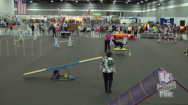 Raven AKC Excellent Standard Rose City Classic - Jan 15, 2015 смотреть онлайн