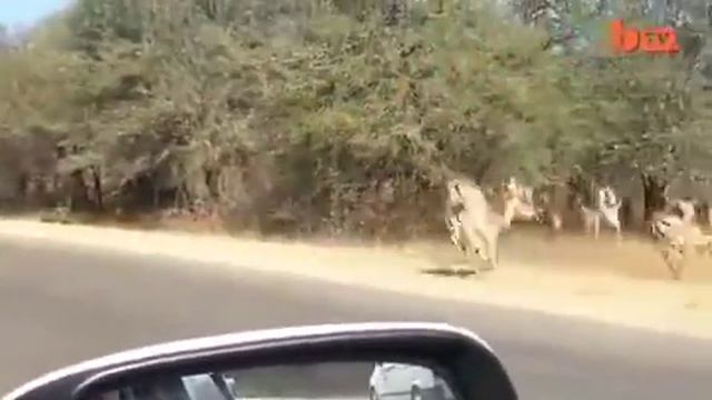 Почта России получает зарплату смотреть онлайн