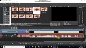 How To Make Angry Effect On Sony Vegas Pro