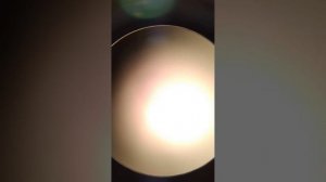 Тестирование приблуды Левенгук А10