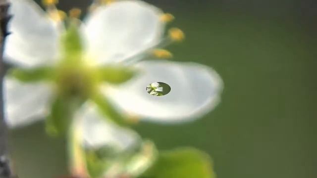 Chris Rea, new images, And You My Love смотреть онлайн