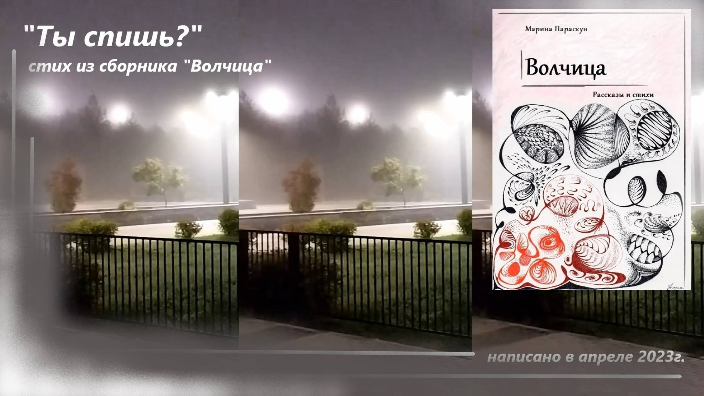 "Ты спишь?" - стих из сборника рассказов и стихов "Волчица" смотреть онлайн