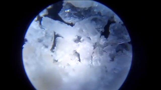 смотрим разные вещи под микроскопом