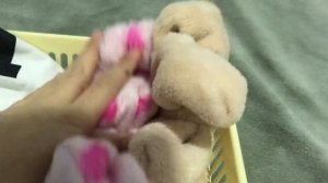 Уточка Лала ФанФан в школе