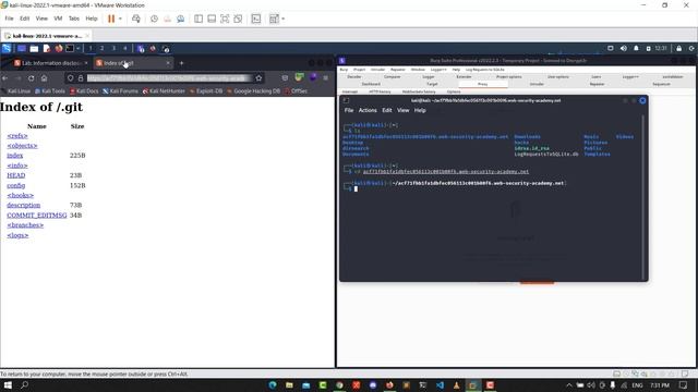 Information Disclosure in Version Control History | Web Security Academy (Audio) смотреть онлайн
