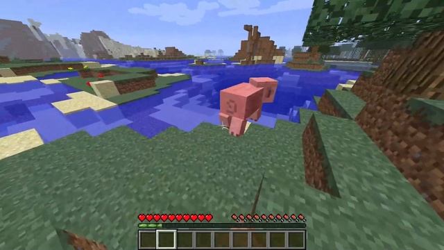 Что такое фаворит томи?