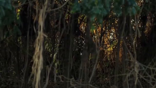 🔶 Qué significa EL JAGUAR PARA LOS MAYAS [8/10] смотреть онлайн