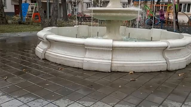 Московские голуби_Красивые дворики Москвы_Поход в магазин