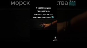 Морские паразиты✅🎬
