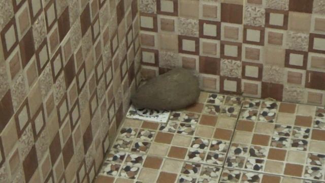 hal sepele yang kadang dilupakan saat meninggalkan rumah untuk waktu lama смотреть онлайн