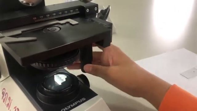 USING Compound Light Microscope (Olympus)