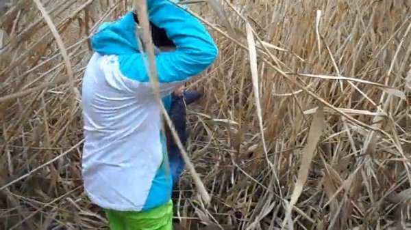 САВИН ОСТРОВ