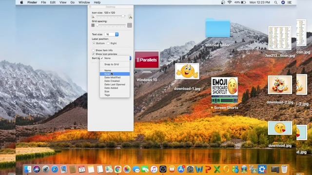 How to increase decrease MacBook desktop icon смотреть онлайн