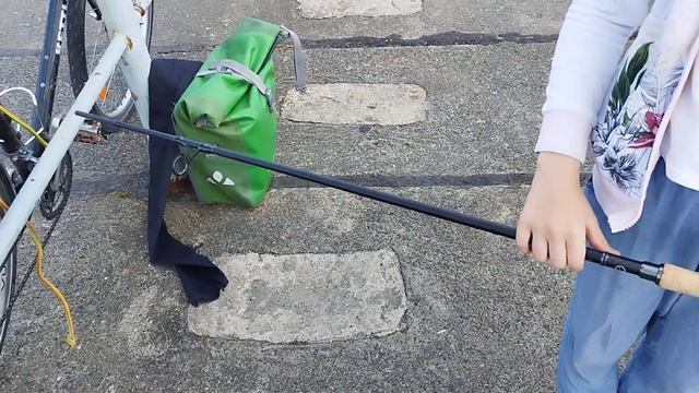 #Shimano #Catana #spinning 2024 269cm. 28-82gr. Спиннинг новый дизайн. Отзывчивый быстрый  бланк.