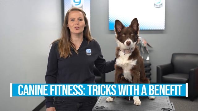 Watch as 2021 APDT/CAPDT Virtual Conference Speaker, Jamie Popper, shares about her session. смотреть онлайн