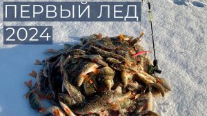 Первый лед 2024. Утренний клев окуня на Ямале. DF 87