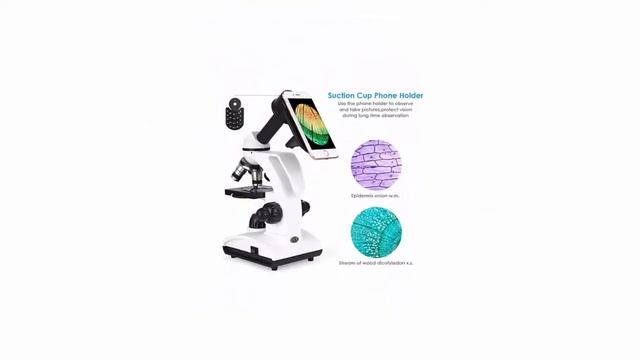 ✅ Top 5 Best Microscopes