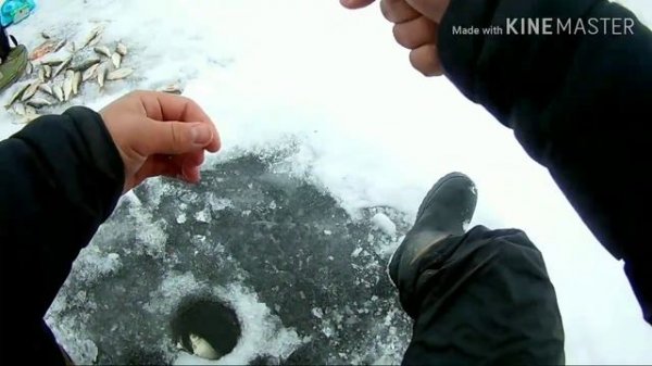 Рыбалочка в декабре