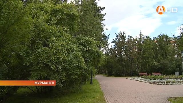 Выходим в субботу озеленять Мурманск смотреть онлайн
