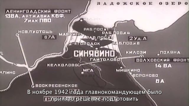 Стафеева Алина - главный юрист АО "ОЭК" смотреть онлайн