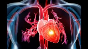 Исцеление сердца и сосудов