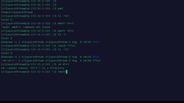 Linux Complete Course In Tamil - Day 1: Linux Basics and File/Directory Creation and deletion смотреть онлайн