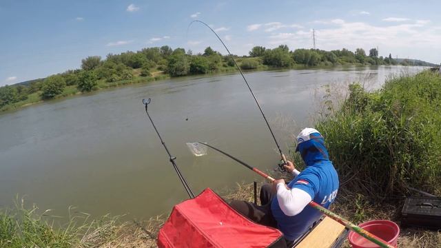 Browning Feeder Cup Madunice 2017 смотреть онлайн