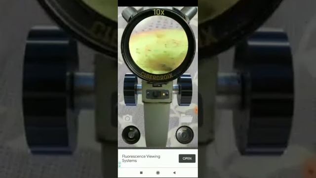 Microscope App 🔭🔭 | Success Talent Group #microscope #successtalentgroup смотреть онлайн