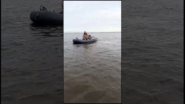 Охота осень 2024 смотреть онлайн