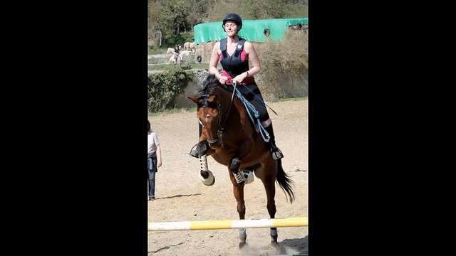 Untitled video