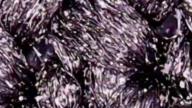 Under The Microscope - Samsung Level Speaker