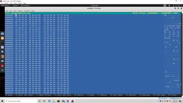 8 Changing Executable Binary With Hexeditor смотреть онлайн
