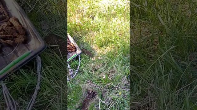 Опять покопушки у разобранной железки смотреть онлайн