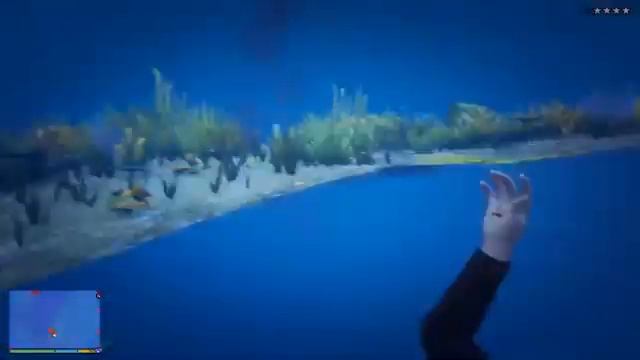 Поймал акулу смотреть онлайн
