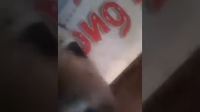 Микроскоп из подручных материалов дома