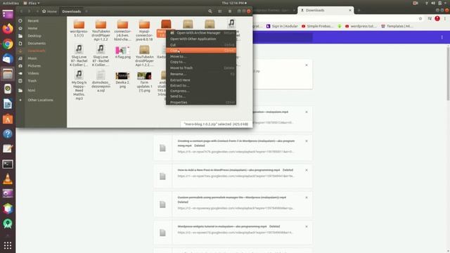 Wordpress Tutorials 2 - Install and Activate WordPress Theme смотреть онлайн