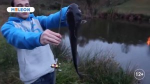 Удочка в виде ручки складная c катушкой