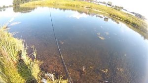 сальмо слайдер 5s