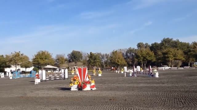 Bravo - Ocala .90 Classic Round