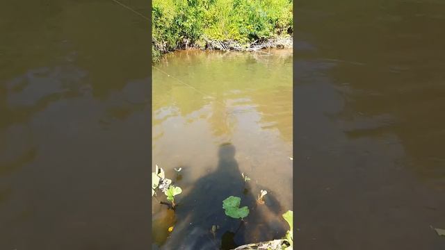 Рыбалка по сибирски смотреть онлайн